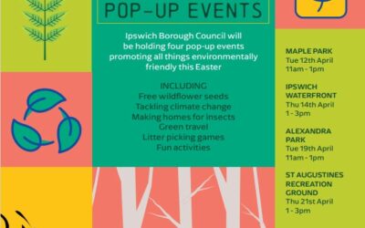 Environmental Pop-Up Events