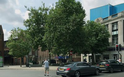 Planting trees to make Ipswich a greener place and improve air quality