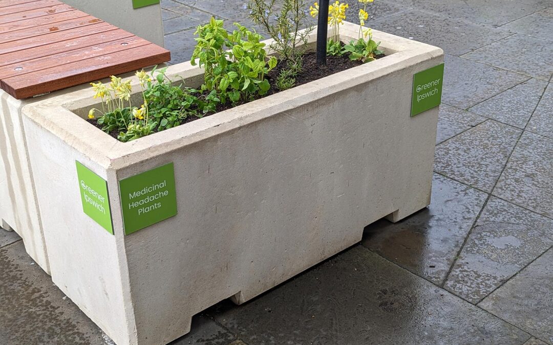 Planter near the Wolsey Statue