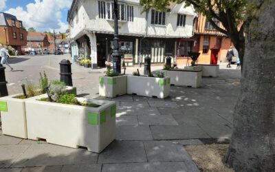Wolsey Statue Planters & Herb Garden