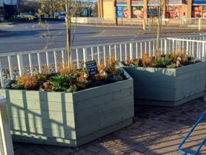 Greener Ipswich Berners Street Project