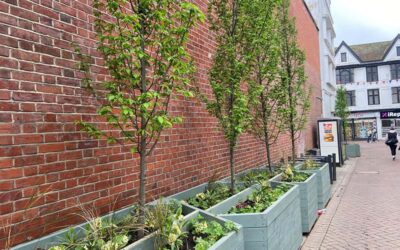 Greener Ipswich CIC Manager (part time)