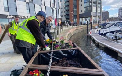 Waterfront Planter Scheme supported by Ipswich Volunteer Groups