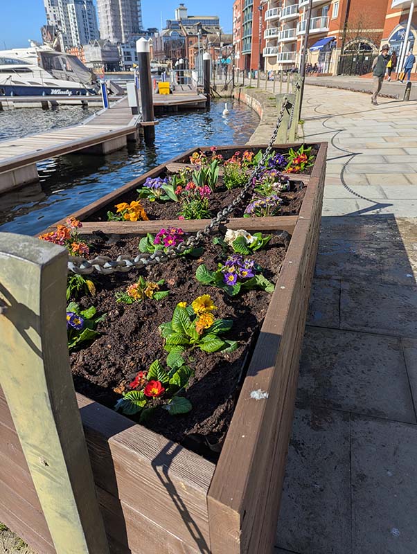 Waterfront Planting Scheme