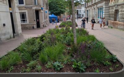 Wild Cities – Bringing Nature Back into our Town & City Centres