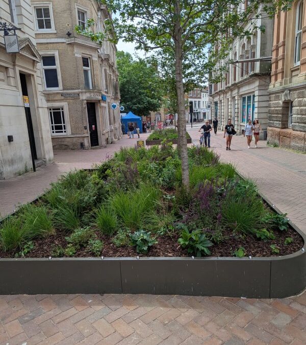 Wild Cities – Bringing Nature Back into our Town & City Centres