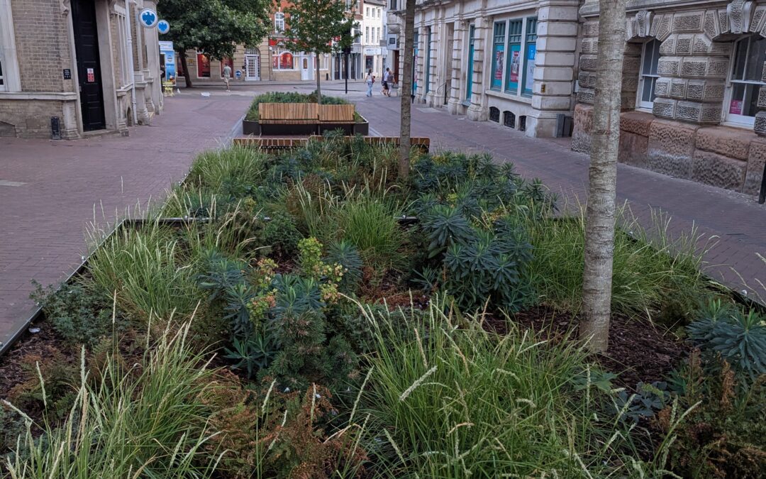 Why we need more trees in our towns