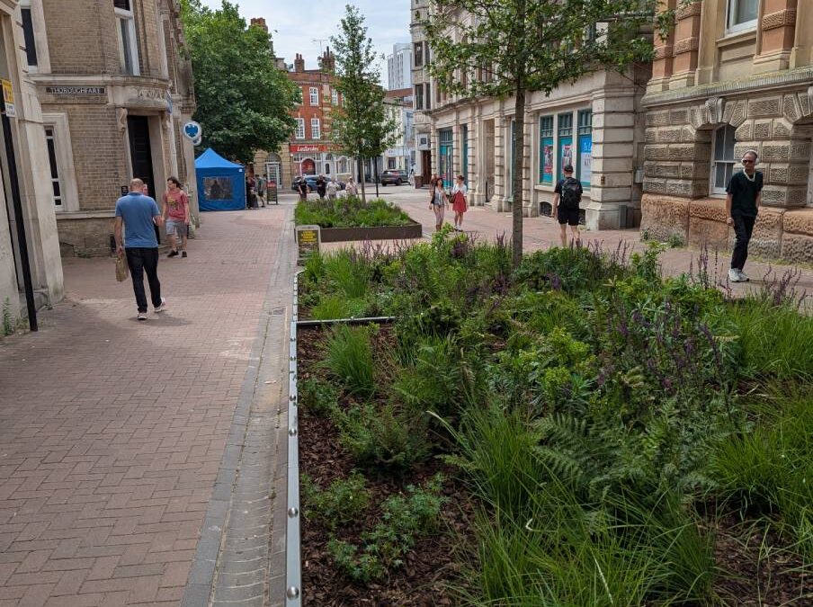 Why we need more trees in our towns