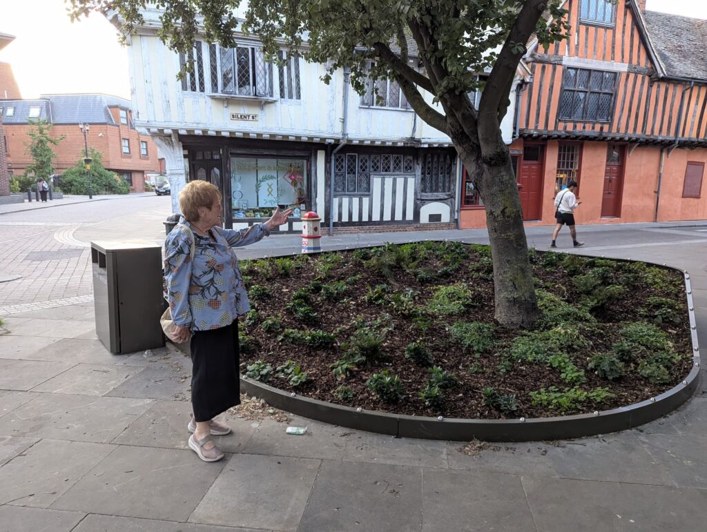 Planting near the Wolsey Statue