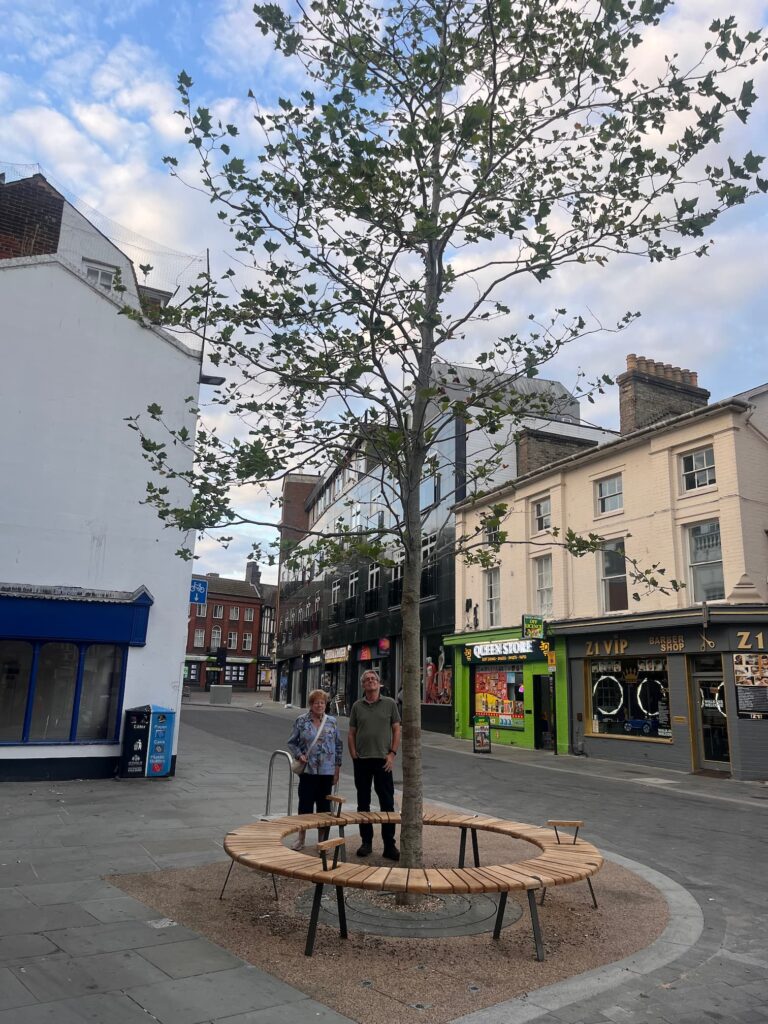 The 'Music Shop Tree' on Queen Street with Liz Harsant and Richard Bloomfield