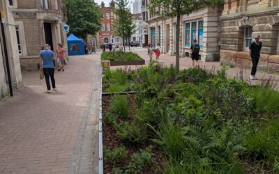 The Oasis / Greener Ipswich Project, 2020-26