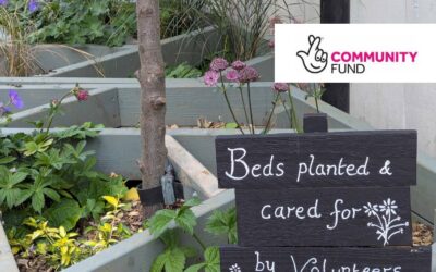 Report on Funding from National Lottery Community Fund